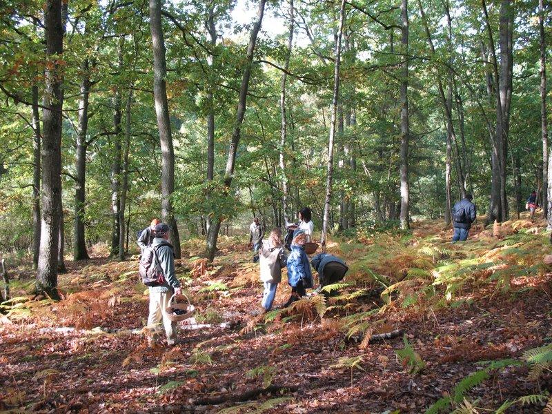 2008 10  Myco avec l 'ANY 03